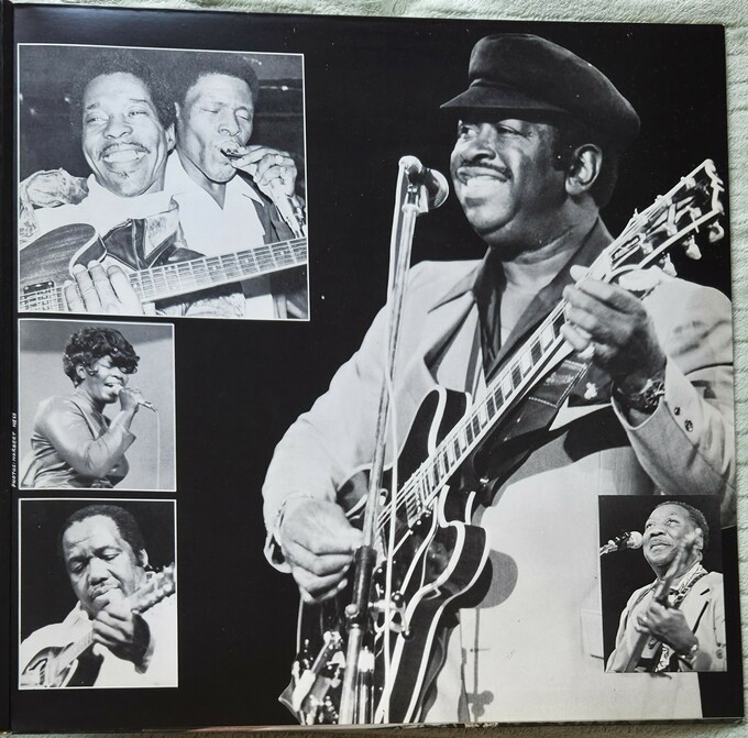 Chicago Blues - 19 Tracks From The Film