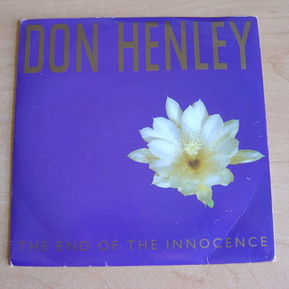The End Of The Innocence by Don Henley