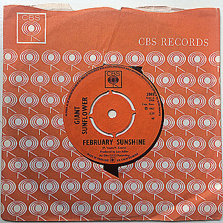 February Sunshine / Big Apple