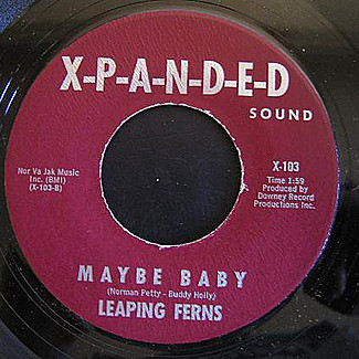 It Never Works Out For Me / Maybe Baby by Leaping Ferns