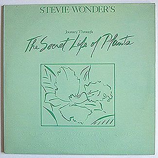 Stevie Wonder's Journey Through The Secret Life Of Plants