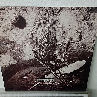 Secrets of the Beehive by David Sylvian