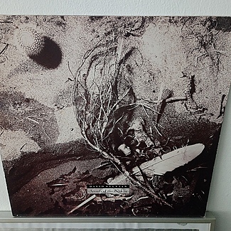 Secrets of the Beehive