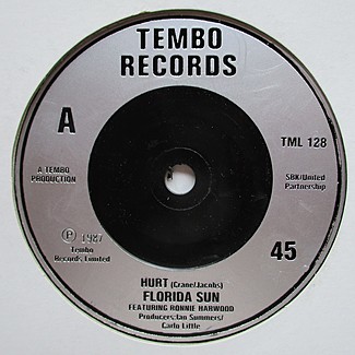 Hurt / Again by Florida Sun