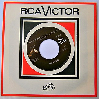 I Can't Stand This Love, Goodbye / Until I Heard It From You by The Others