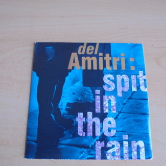 Spit In The Rain by Del Amitri