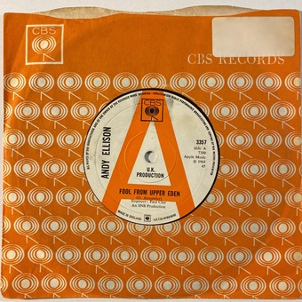 Fool From Upper Eden / Another Lucky Lie by Andy Ellison