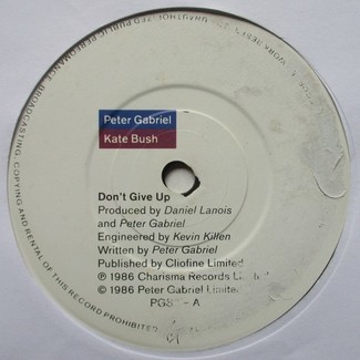 Don't Give Up by Peter Gabriel