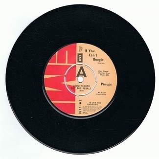 If You Can't Boogie by Pinups
