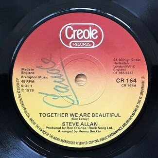 Together We Are Beautiful by Steve Allan