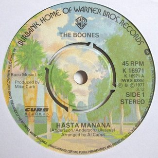 Hasta Mañana by The Boones
