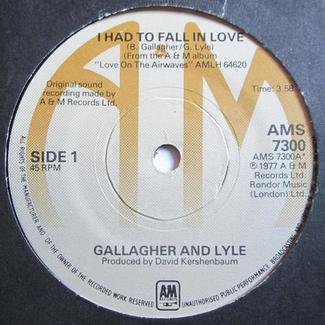 I Had To Fall In Love by Gallagher and Lyle