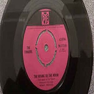 Tell Ireland I Still Miss Her by The Tinkers