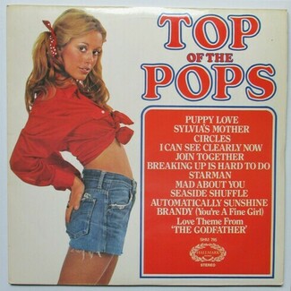 Top Of The Pops Vol. 25 by The Top Of The Poppers