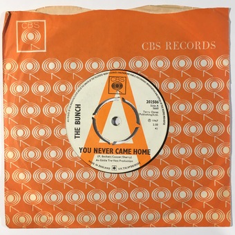 You Never Came Home / We're Not What We Appear To Be by The Bunch