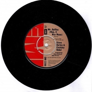 Mr. Raffles (man, It Was Mean) by Steve Harley and Cockney Rebel