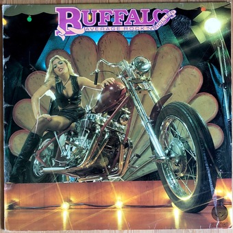 Average Rock'n'Roller by Buffalo