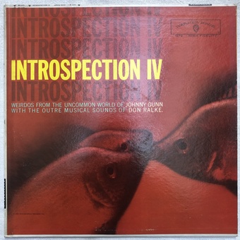 Introspection IV by Johnny Gunn and Don Ralke