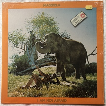 I Am Not Afraid by Hugh Masekela