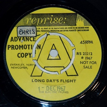 Long Days Flight / The King Is In The Counting House by The Electric Prunes