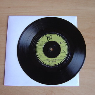 Indian Love Call by Ray Stevens