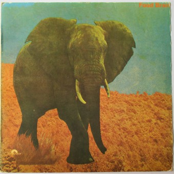 Social Gathering by Food Brain