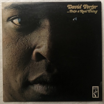 Into A Real Thing by David Porter