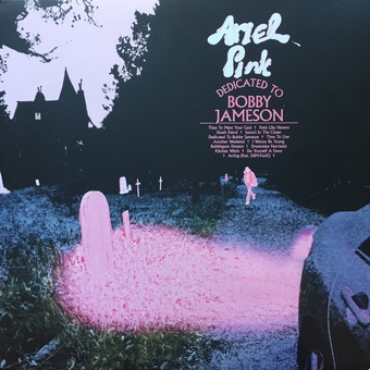 Dedicated To Bobby Jameson by Ariel Pink
