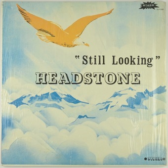 Still Looking by Headstone