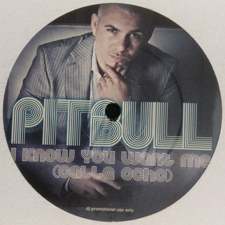 I Know You Want Me (Calle Ocho) by Pitbull