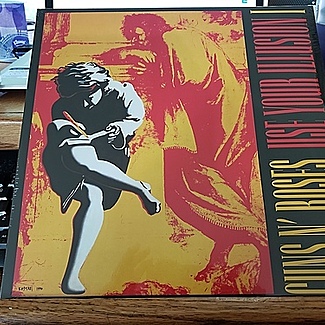 Use Your Illusion 1 by Guns 'n Roses