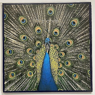 Expecting To Fly by The Bluetones