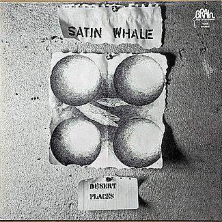 Desert Places by Satin Whale