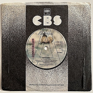 River Song by Dennis Wilson