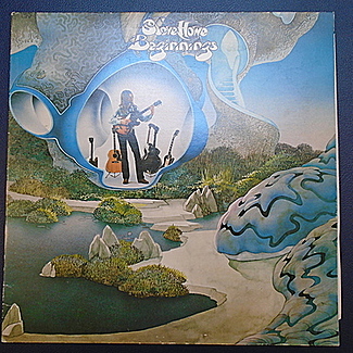Beginnings by Steve Howe