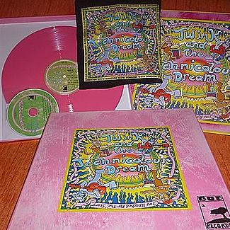 You Reached For The Stars by Twink And The Technicolour Dream