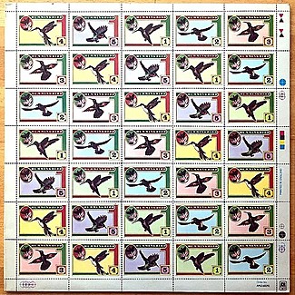 Hummingbird by Hummingbird