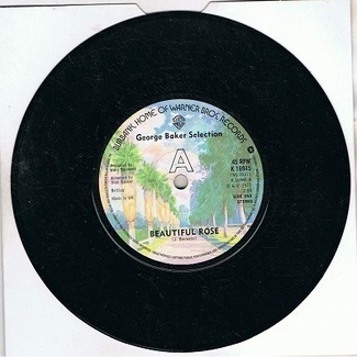 Beautiful Rose by George Baker Selection