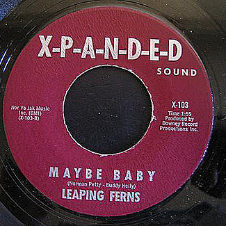 It Never Works Out For Me / Maybe Baby by Leaping Ferns