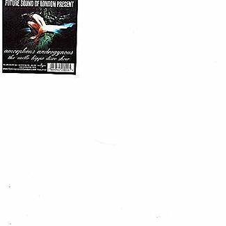 The Mello Hippo Disco Show by Amorphous Androgynous