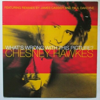 What's Wrong With This Picture by Chesney Hawkes
