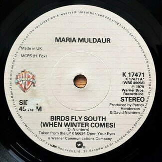Birds Fly South (When Winter Comes) by Maria Muldaur