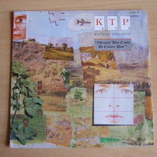 Never Too Late To Love You by Kissing The Pink