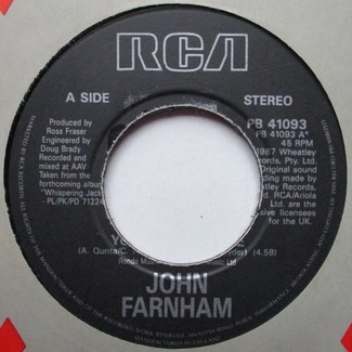 You're The Voice by John Farnham