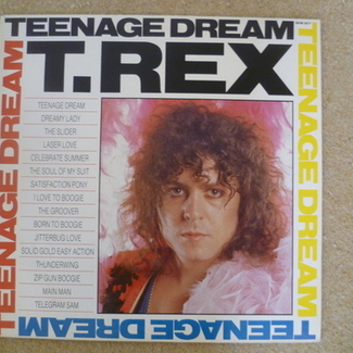 Teenage Dream by T. Rex