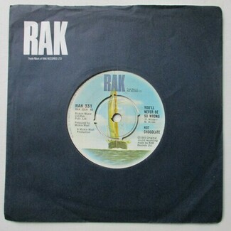 You'll Never Be So Wrong by Hot Chocolate