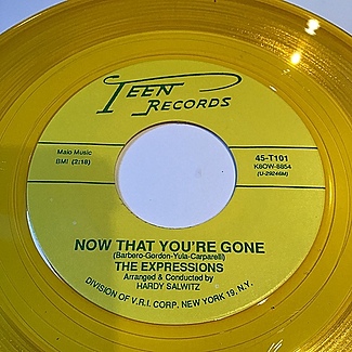 Now that you’re gone. by The Expressions