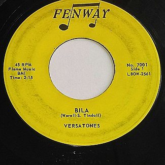 Bila / Tight Skirt by The Versatones