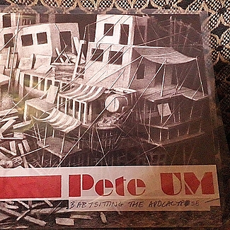 Babysitting The Apocalypse by Pete Um