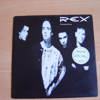 Sleepwalking by Rex